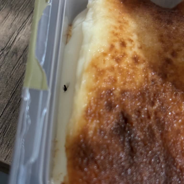 A101 Kazandibi Sürprizi: Beklenmedik Misafir