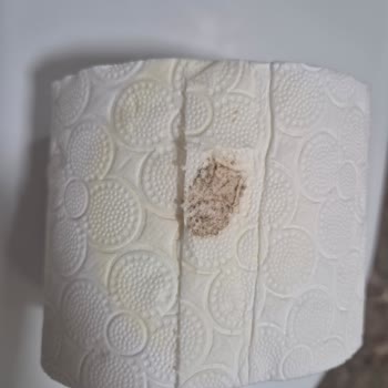 Hijyenik Olmayan Tuvalet Kağıdı Şoku