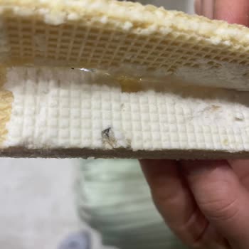 Gofret Paketinde Böcek Şoku