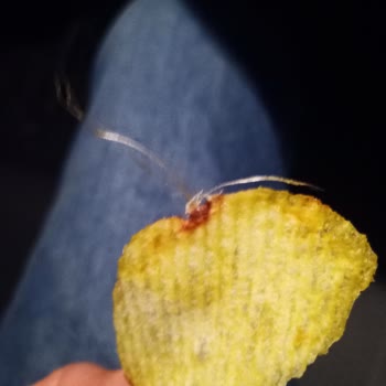 Ruffles Cips Paketinde Şok Edici İp Yumağı Bulundu