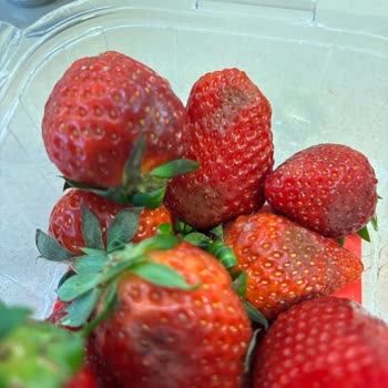 Getir'de Çürük Ürün Ve İlgisiz Müşteri Hizmetleri Sorunu