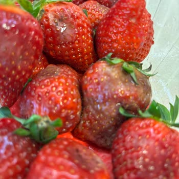 Getir'de Çürük Ürün Ve İlgisiz Müşteri Hizmetleri Sorunu