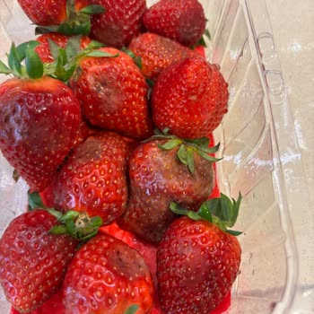 Getir'de Çürük Ürün Ve İlgisiz Müşteri Hizmetleri Sorunu