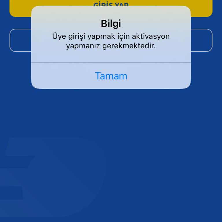 Opet Giriş Sorunları: Aktivasyon Ve Giriş Çıkmazı