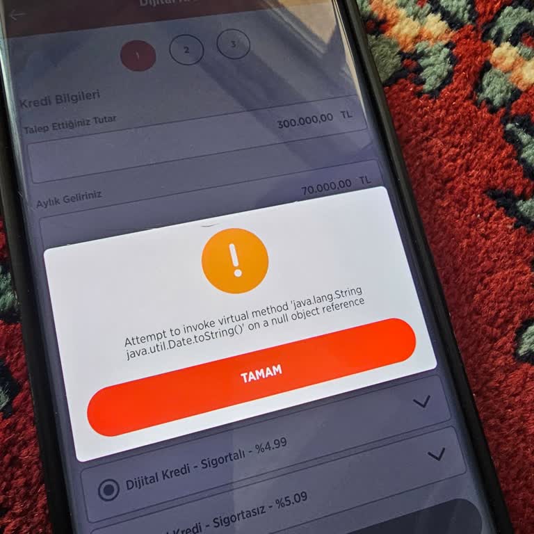 Dijital Kredi Başvurusunda Hata Sorunu