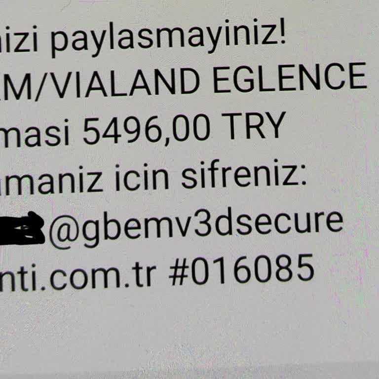 Tema Park'ta Yaşanan Sorunlar ve Ziyaretçi Deneyimleri