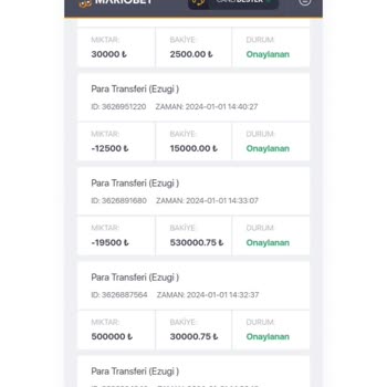 Kazancımın Tamamı Ödenmedi: 380 Bin TL Alacağım Var!