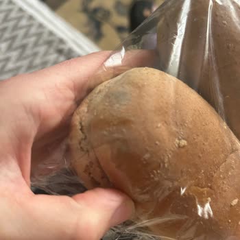 Açılmamış Pakette Küflenmiş Ekmek Şoku