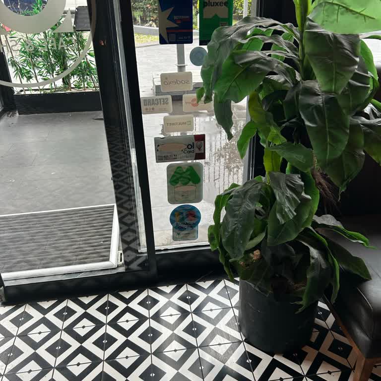 Pluxe Ödeme Kısıtlamasıyla Karşılaştım: Yanıltıcı Uygulama