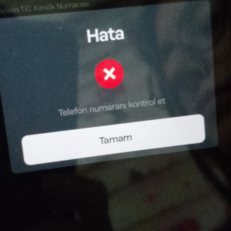 Papara Hesabı Onayı İçin Veli Bilgileri Kabul Edilmiyor