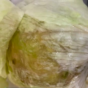 Migros 2 Adet Atom Marul Aldım Yapraklarını Ayıklarken Bu Halde Çıktı