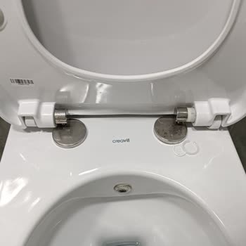 Klozet Kapağı Menteşesi Sorunu: Çözüm Bulamıyorum