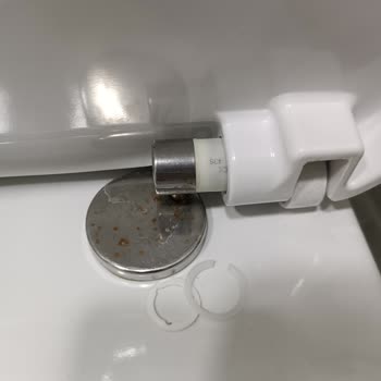 Klozet Kapağı Menteşesi Sorunu: Çözüm Bulamıyorum