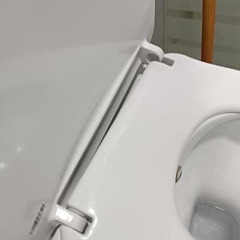 Klozet Kapağı Menteşesi Sorunu: Çözüm Bulamıyorum