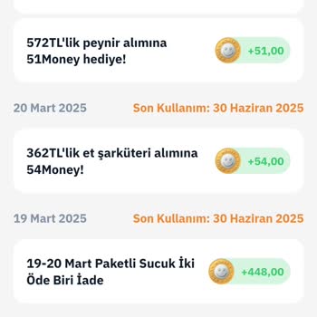 Yanlışlıkla Silinen Money Puanları