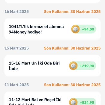 Yanlışlıkla Silinen Money Puanları