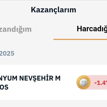 Yanlışlıkla Silinen Money Puanları