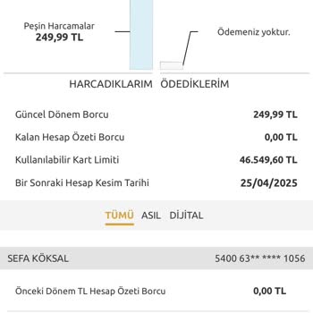 Yapı Kredi Kampanya Hatası: Apple Harcamam Sayılmadı