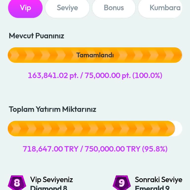 Zlot Sitesinde Kayıplar Ve Haksız Çevrim Şartları