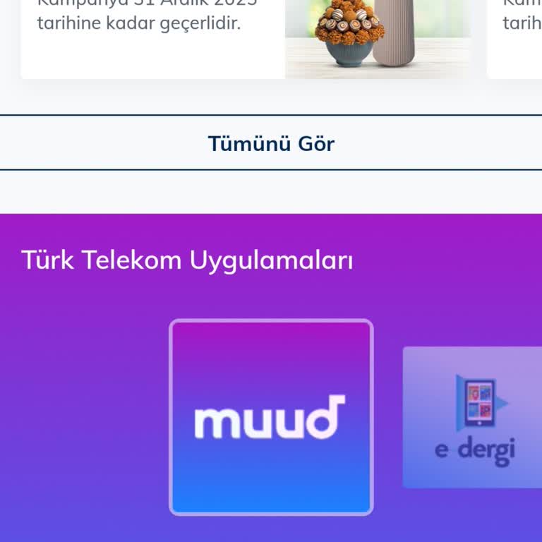Sil Süpür Kampanyası Ekranda Görünmüyor