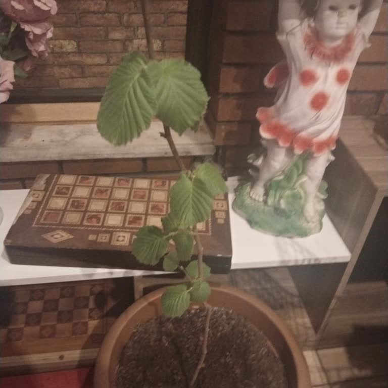 Fidancı Yurdu Bizi Engellediler