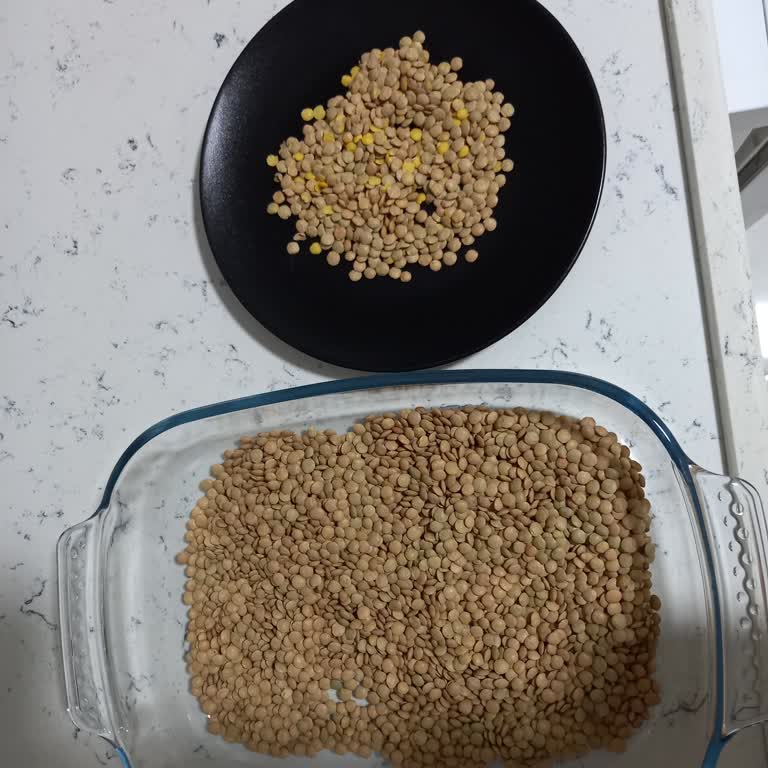 Talya Foods Yeşil Mercimek: Kırık Ve Parçalanmış Ürün Sorunu