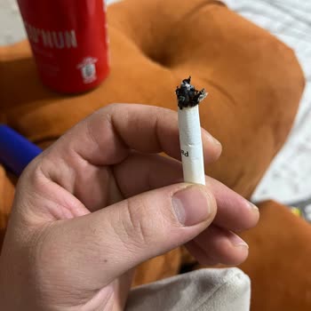 Parliament Sigara Kalitesinde Düşüş: Odun Ve Dal Sorunu