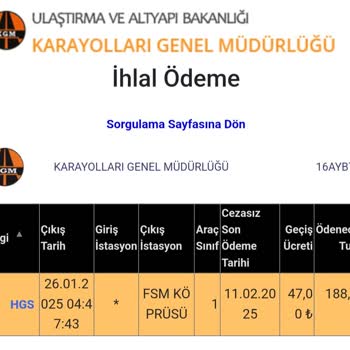 Yanlış Plaka Ücreti: FSM Köprüsü Geçiş Hatası
