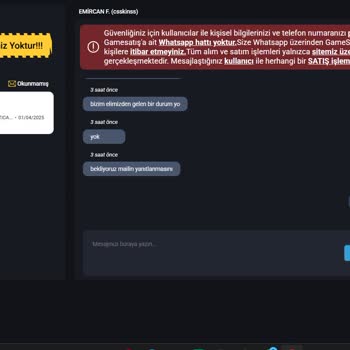 GameSatış'ta Hesap Erişim Sorunu