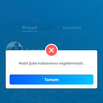Halkbank Mobil Giriş Engeli Ve Ek Avans Sorunu