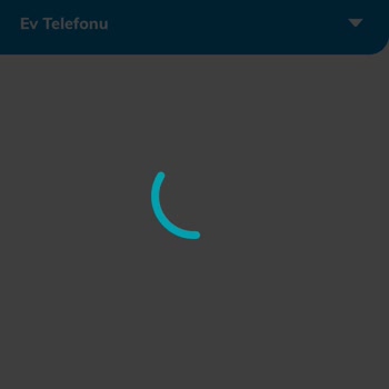 İnternet Hızında Sorun Ve Çözüm Beklentisi