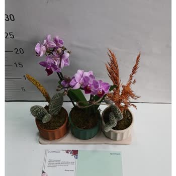 Çiçek Sepeti'nde Görsel Ve Gerçeklik Arasında Büyük Fark!