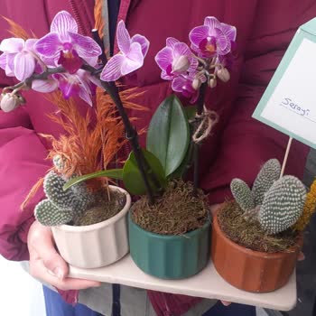 Çiçek Sepeti'nde Görsel Ve Gerçeklik Arasında Büyük Fark!