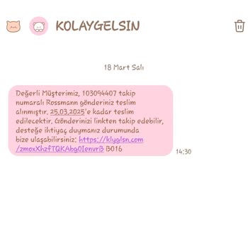 Kargom Kayboldu: Yanlış Teslimat Ve Bilgilendirme Eksikliği