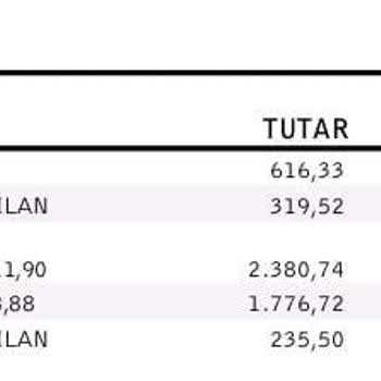 Engelli Yolcuya Saygısız Ve Empati Yoksunu Hizmet