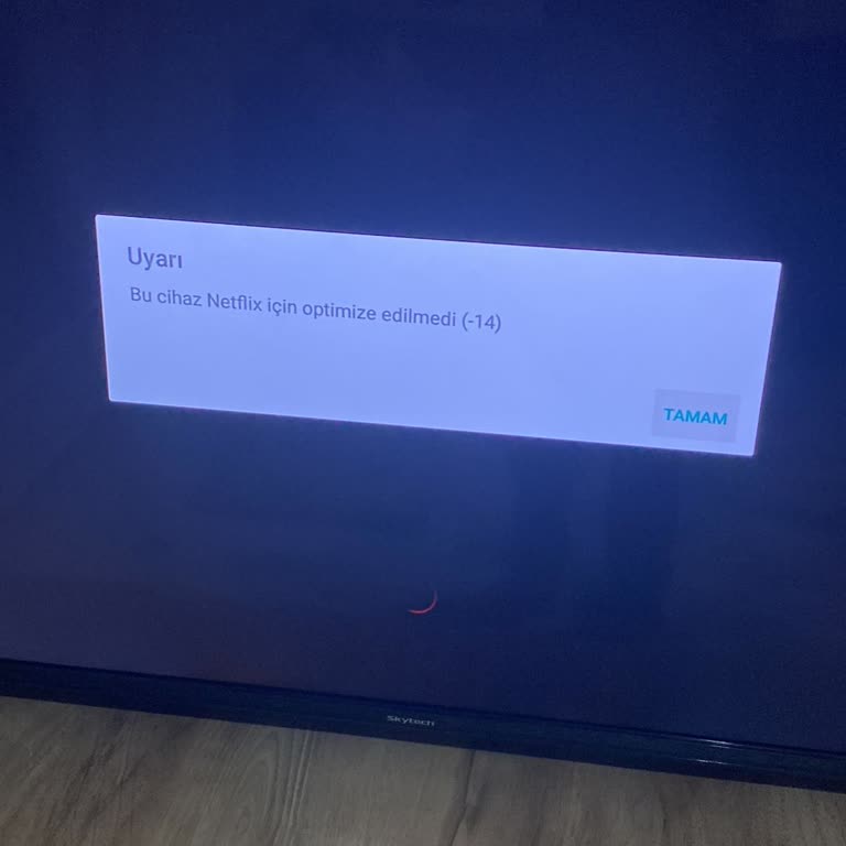 Skytech TV'de Netflix Açılmama Sorunu