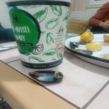 Midye Kovasında Şok Edici Sigara Sürprizi