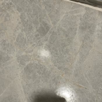 Savur Öğretmenevi Hijyen Sorunu!