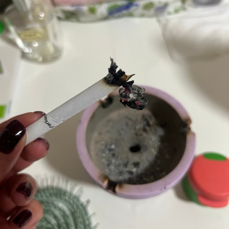 Sigara Kalitesinde Düşüş Ve Üretim Sorunları