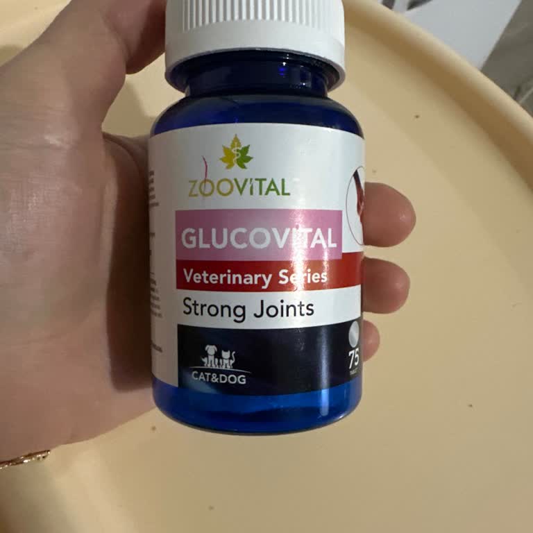 Yanlış Teşhis Ve Tedavi Köpeğimin Hayatına Mal Oldu