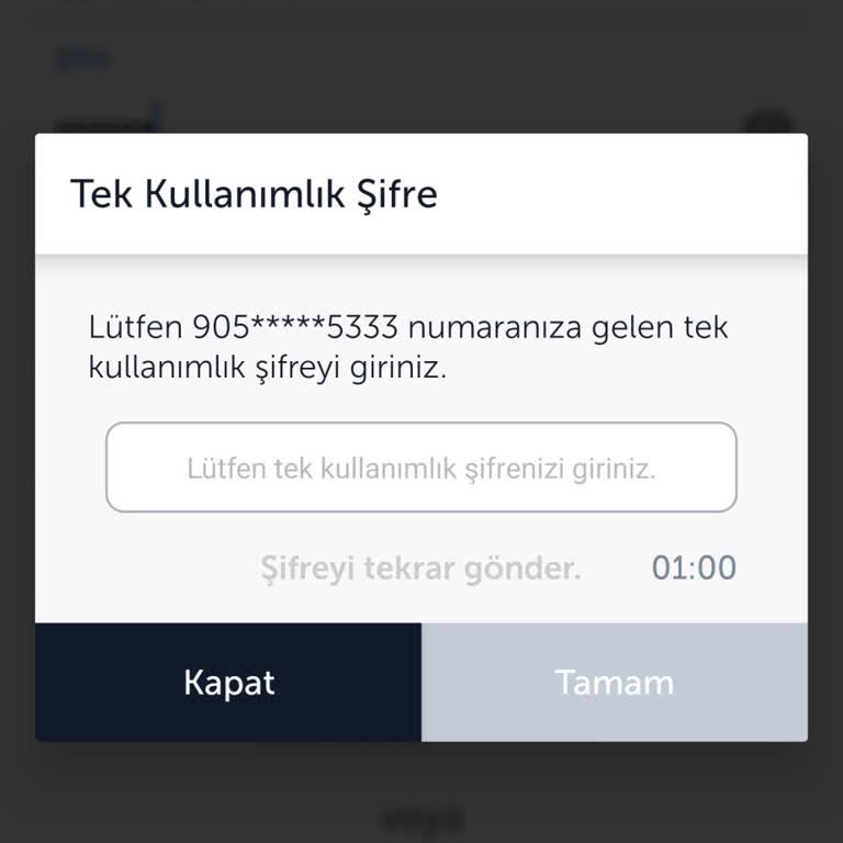 Miles&Miles Hesabıma Erişemiyorum: Acil Yardım Talebi