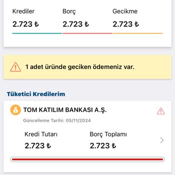 Kredi Notunu Düşüren Hatalı Borç Kaydı Sorunu