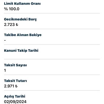 Kredi Notunu Düşüren Hatalı Borç Kaydı Sorunu