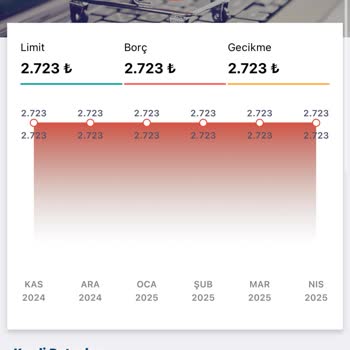 Kredi Notunu Düşüren Hatalı Borç Kaydı Sorunu