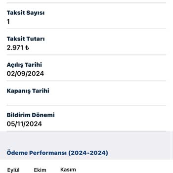 Kredi Notunu Düşüren Hatalı Borç Kaydı Sorunu