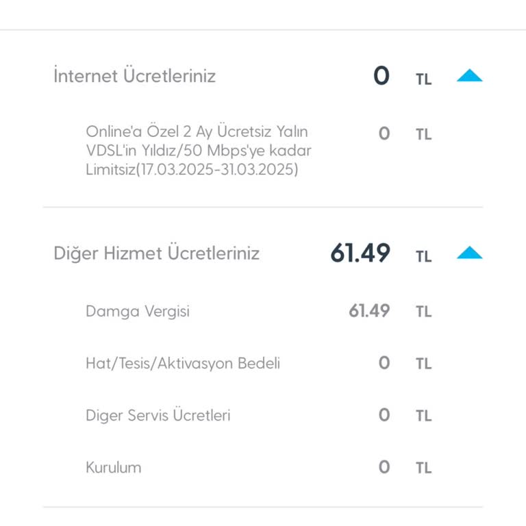 Ücretsiz Denilen Hizmette Gizli Ücret Şoku