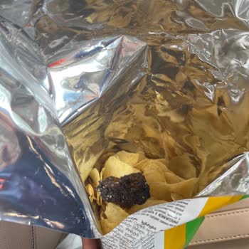 Cipso Cipsinde Beklenmedik Sürpriz