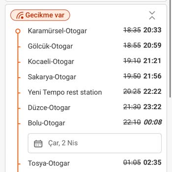 Kaos Dolu Yolculuk: Geç Kalan Otobüs Ve Ekstra Masraflar