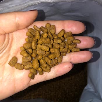 Petmerkezi.com Orijinalliği Şüpheli Ürün Satıyorlar