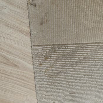 Halı Yıkama Hizmetinde Beklenmedik Sorunlar